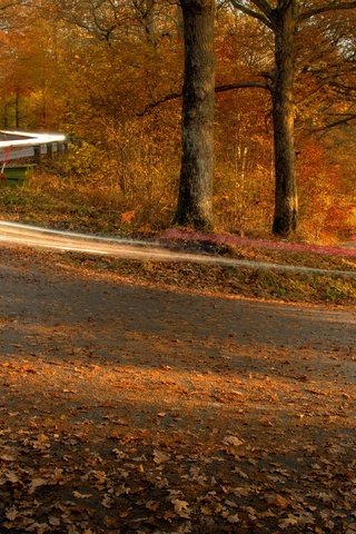 Обои дорога, огни, осень, road, lights, autumn разрешение 3840x2160 Загрузить