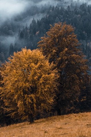 Обои горы, туман, осень, mountains, fog, autumn разрешение 3840x2160 Загрузить