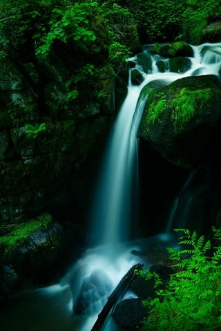 Обои лес, водопад, темный фон, forest, waterfall, the dark background разрешение 3840x2160 Загрузить