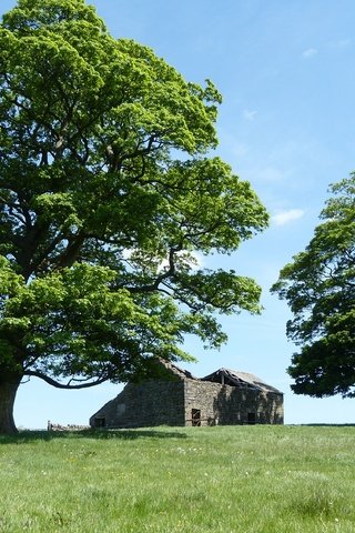 Обои небо, калифорния, облака, деревья, природа, поле, руины, дом, сша, the sky, ca, clouds, trees, nature, field, ruins, house, usa разрешение 3959x2567 Загрузить