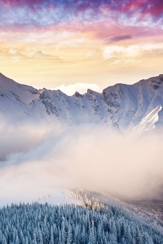 Обои небо, туман, облака, горы, скалы, снег, природа, лес, зима, the sky, fog, clouds, mountains, rocks, snow, nature, forest, winter разрешение 4500x2531 Загрузить