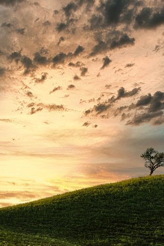 Обои облака, дерево, поле, clouds, tree, field разрешение 2500x1563 Загрузить