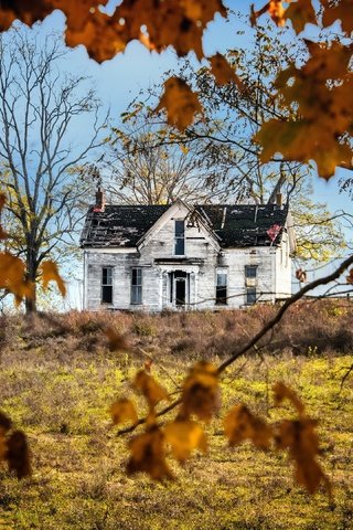 Обои природа, осень, дом, nature, autumn, house разрешение 3840x2160 Загрузить