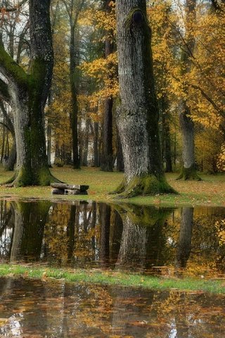 Обои природа, парк, nature, park разрешение 3840x2160 Загрузить