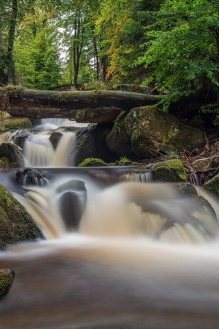 Обои река, камни, лес, водопад, мох, германия, каскад, harz national park, саксония-анхальт, saxony-anhalt, river, stones, forest, waterfall, moss, germany, cascade разрешение 2048x1152 Загрузить