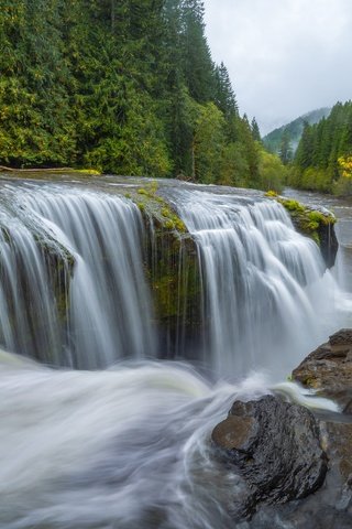 Обои река, лес, водопад, осень, каскад, штат вашингтон, штате вашингтон, lewis river, gifford pinchot национальный лес, gifford pinchot national forest, river, forest, waterfall, autumn, cascade, washington, washington state разрешение 4643x3096 Загрузить