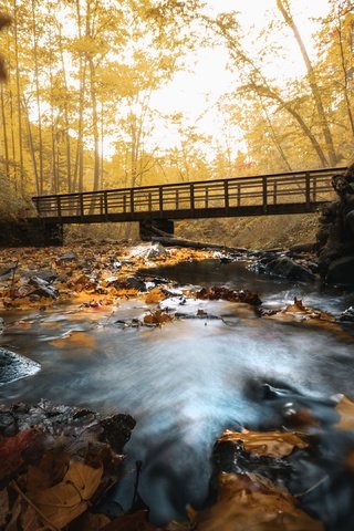 Обои река, мост, осень, river, bridge, autumn разрешение 3840x2160 Загрузить