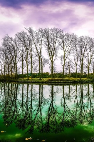 Обои деревья, вода, река, природа, осень, trees, water, river, nature, autumn разрешение 3840x2160 Загрузить