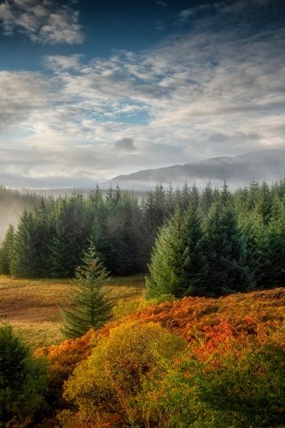 Обои река, туман, осень, шотландия, river, fog, autumn, scotland разрешение 7952x4872 Загрузить