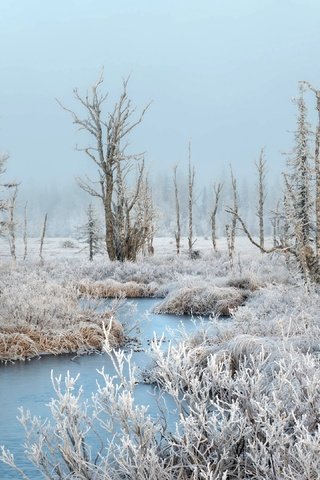 Обои река, зима, иней, river, winter, frost разрешение 3840x2160 Загрузить