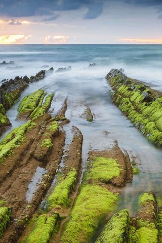 Обои скалы, море, испания, водоросли, бискайя, баррика, rocks, sea, spain, algae, biscay, barrika разрешение 5184x2916 Загрузить