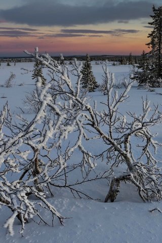 Обои снег, закат, snow, sunset разрешение 3840x2160 Загрузить