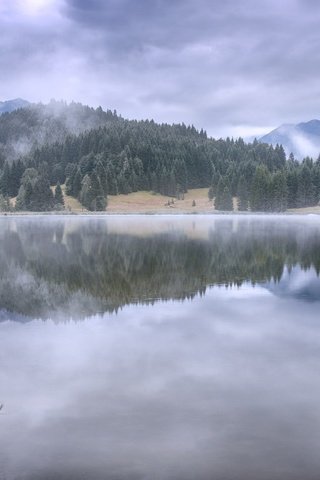 Обои туман, осень, fog, autumn разрешение 3169x1643 Загрузить
