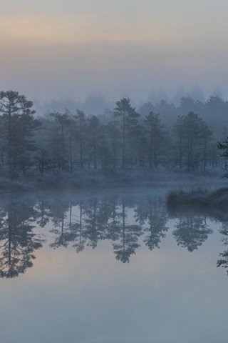 Обои деревья, озеро, скала, туман, островок, trees, lake, rock, fog, island разрешение 2880x1800 Загрузить