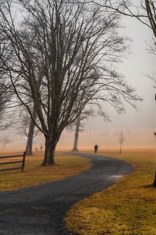 Обои дорога, деревья, природа, road, trees, nature разрешение 3840x2160 Загрузить