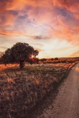 Обои дорога, дерево, закат, road, tree, sunset разрешение 2048x1365 Загрузить