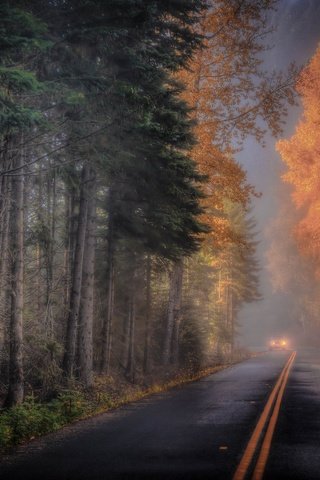 Обои дорога, лес, осень, road, forest, autumn разрешение 2048x1370 Загрузить