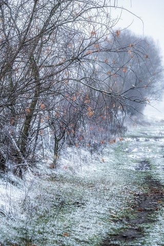 Обои дорога, осень, road, autumn разрешение 3840x2160 Загрузить