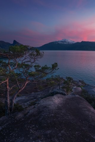 Обои горы, закат, сосны, норвегия, фьорд, mountains, sunset, pine, norway, the fjord разрешение 6144x4098 Загрузить