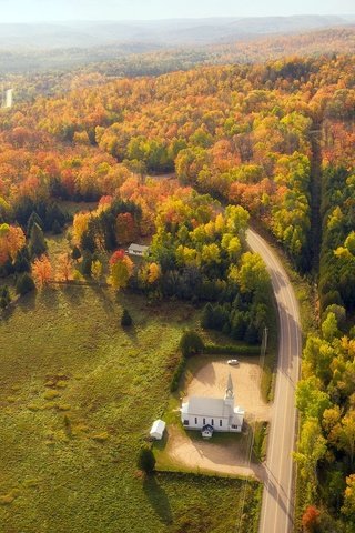 Обои лес, храм, осень, forest, temple, autumn разрешение 2048x1300 Загрузить