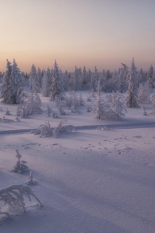 Обои небо, ели, дорога, сугробы, снег, тени, природа, лес, зима, пейзаж, елки, the sky, ate, road, the snow, snow, shadows, nature, forest, winter, landscape, tree разрешение 2000x1333 Загрузить