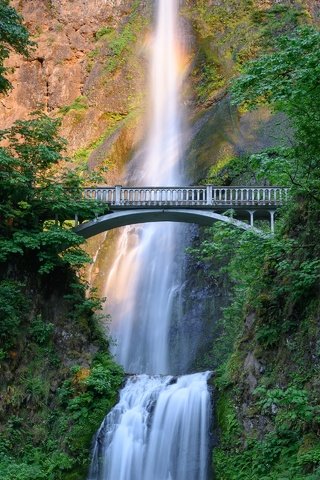 Обои водопад, свет, горы, скалы, зелень, ветки, листва, лето, мост, waterfall, light, mountains, rocks, greens, branches, foliage, summer, bridge разрешение 2880x1920 Загрузить