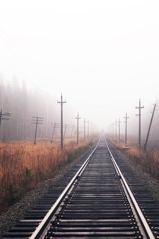 Обои железная дорога, лес, осень, railroad, forest, autumn разрешение 1920x1080 Загрузить