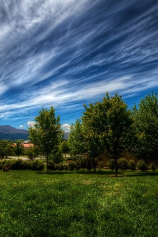 Обои небо, трава, облака, деревья, природа, зелень, пейзаж, the sky, grass, clouds, trees, nature, greens, landscape разрешение 2880x1800 Загрузить