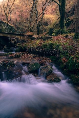 Обои река, природа, мост, river, nature, bridge разрешение 2560x1440 Загрузить