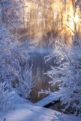 Обои деревья, стужа, река, снег, зима, утро, мороз, россия, алтай, trees, river, snow, winter, morning, frost, russia, altay разрешение 1920x1280 Загрузить