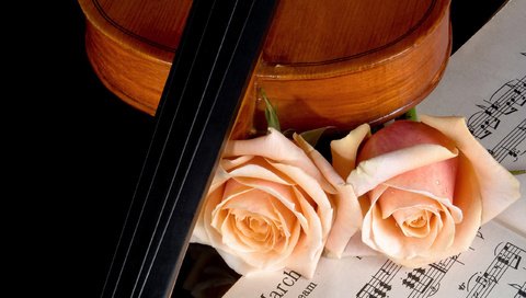 Обои розы, ноты, скрипка, музыка, красота, roses, notes, violin, music, beauty разрешение 2560x1600 Загрузить