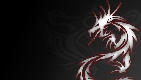 Обои дракон, серый, тату, dragon, grey, tattoo разрешение 1920x1200 Загрузить