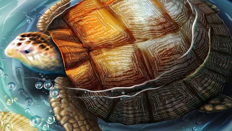 Обои рисунок, вода, черепаха, figure, water, turtle разрешение 1920x1200 Загрузить