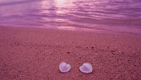 Обои берег, песок, пляж, сердце, ракушки, любовь, розовый, shore, sand, beach, heart, shell, love, pink разрешение 2560x1600 Загрузить