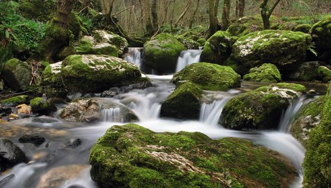 Обои вода, камни, ручей, water, stones, stream разрешение 2560x1600 Загрузить