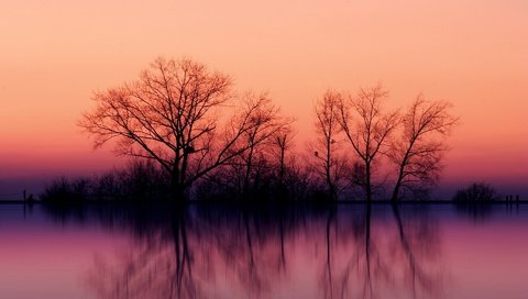 Обои небо, деревья, закат, отражение, силуэт, the sky, trees, sunset, reflection, silhouette разрешение 1920x1200 Загрузить