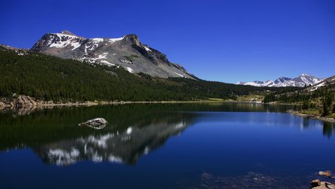 Обои небо, йосемити, облака, озеро тиога, tioga lake, деревья, озеро, горы, лес, лето, калифорния, the sky, yosemite, clouds, trees, lake, mountains, forest, summer, ca разрешение 1920x1080 Загрузить