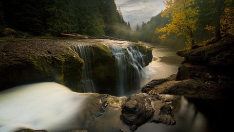 Обои деревья, река, камни, пейзаж, поток воды, trees, river, stones, landscape, the flow of water разрешение 1920x1200 Загрузить