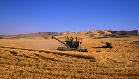 Обои поле, комбаины, пшеница, field, kombain, wheat разрешение 3750x1200 Загрузить