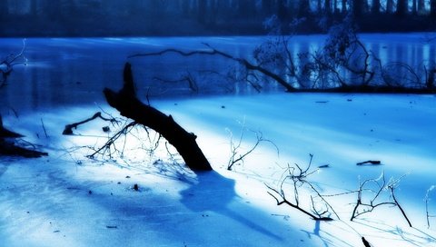 Обои свет, зима, ветки, мороз, иней, лёд, голубой, light, winter, branches, frost, ice, blue разрешение 1920x1200 Загрузить