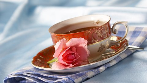 Обои цветок, роза, чашка, чай, салфетка, чаепитие, flower, rose, cup, tea, napkin, the tea party разрешение 1920x1200 Загрузить