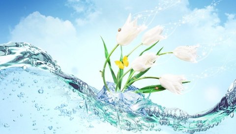 Обои цветы, вода, бабочка, лёд, flowers, water, butterfly, ice разрешение 1920x1200 Загрузить