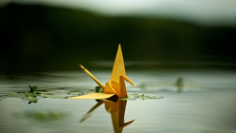 Обои вода, отражение, бумага, птица, оригами, пруд, журавлик, water, reflection, paper, bird, origami, pond, crane разрешение 1920x1200 Загрузить