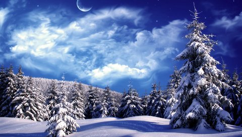 Обои облака, снег, зима, елки, clouds, snow, winter, tree разрешение 1920x1200 Загрузить