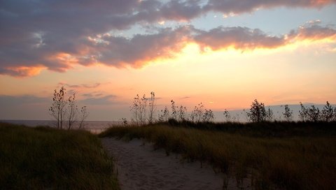 Обои трава, облака, берег, песок, тропа, grass, clouds, shore, sand, trail разрешение 1920x1200 Загрузить