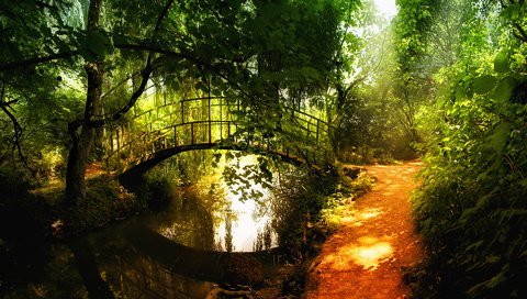 Обои мостик, лес, отражение, речка, the bridge, forest, reflection, river разрешение 1920x1200 Загрузить