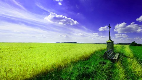 Обои небо, скамейки, трава, пшеница, облака, природа, обои, фото, поле, пейзажи, the sky, benches, grass, wheat, clouds, nature, wallpaper, photo, field, landscapes разрешение 2560x1577 Загрузить