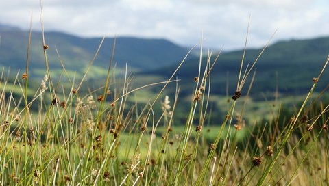 Обои небо, трава, горы, the sky, grass, mountains разрешение 6048x4032 Загрузить