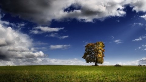 Обои облака, дерево, поле, clouds, tree, field разрешение 1920x1440 Загрузить