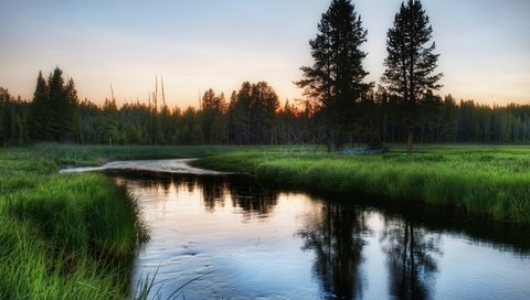 Обои трава, природа, обои, лес, на природе, grass, nature, wallpaper, forest разрешение 5214x3843 Загрузить